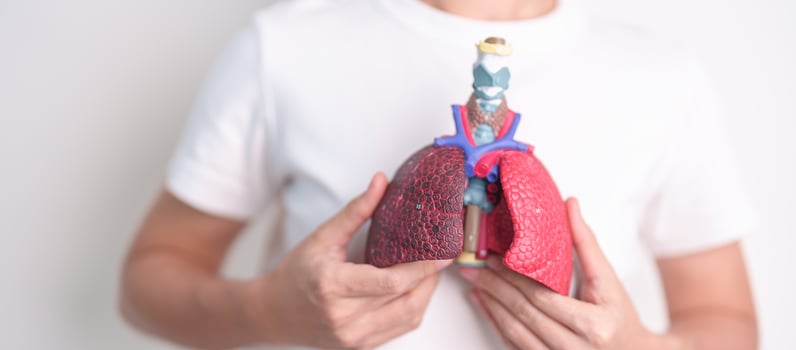 woman hold Smoker anatomy for Disease. Lung Cancer, Asthma, Chronic Obstructive Pulmonary or COPD, Bronchitis, Emphysema, Cystic Fibrosis, Bronchiectasis, Pneumonia and world Lung day concept photo