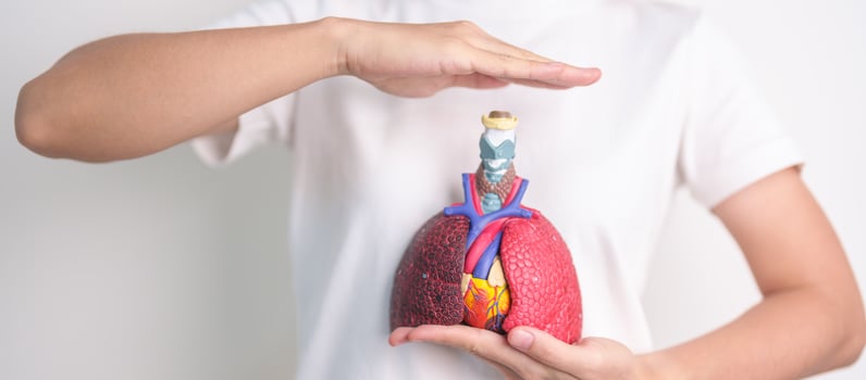Hand cover Respiratory and Cardiovascular system anatomy. Lung Cancer, Asthma, Chronic Obstructive Pulmonary or COPD, Bronchitis, Emphysema, Cystic Fibrosis, Bronchiectasis, Pneumonia.Health Insurance photo