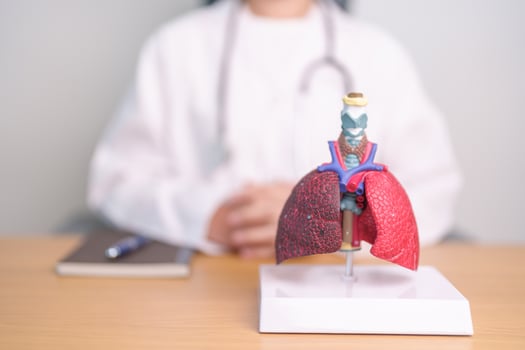 Doctor with Smoker and normal Lung anatomy for Disease. Lung Cancer, Asthma, Chronic Obstructive Pulmonary or COPD, Bronchitis, Emphysema, Cystic Fibrosis, Bronchiectasis, Pneumonia and world Lung day photo