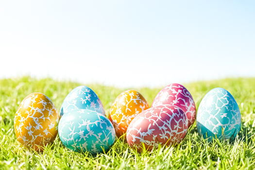 Easter Eggs in Grass photo