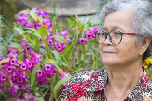 Portrait of a beautiful senior woman with short gray hair, wearing glasses, smiling, and looking away while standing in a garden. Space for text. Concept of aged people and relaxation photo