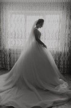 A woman in a wedding dress stands in front of a window. The dress is white and the woman is wearing a veil. The image has a romantic and elegant mood photo