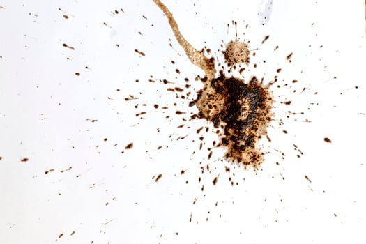 Coffee drops splashes with a brown color texture isolated on a white background photo