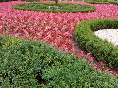 A circular garden with pink flowers and green bushes photo