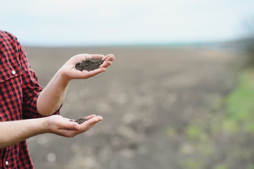 Soil in farmer arms. image with selective focus. photo