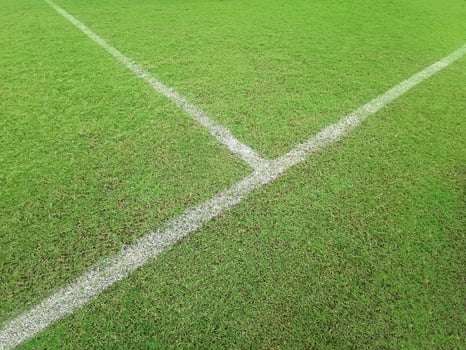 Soccer line in green grass of soccer field photo