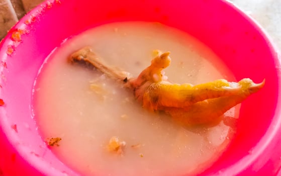 Corner meat meal with chicken feet legs in a bowl. photo