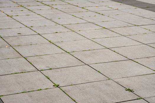 square paved with stone slabs photo