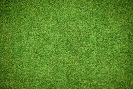 Green Grass Texture for Nature and Environmental Concepts photo
