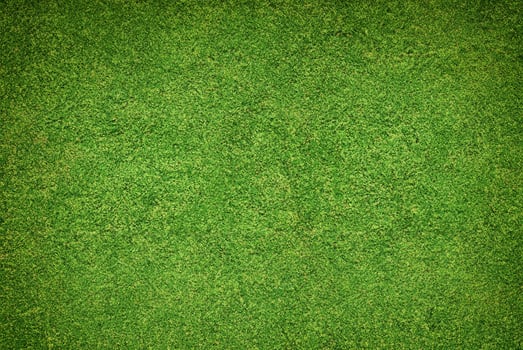 Green Grass Texture Background photo