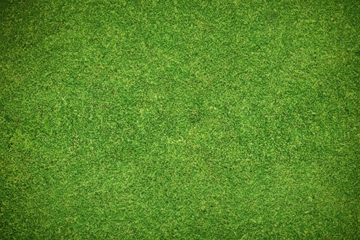 Vibrant Green Grass Texture Background for Natural and Environmental Concepts photo