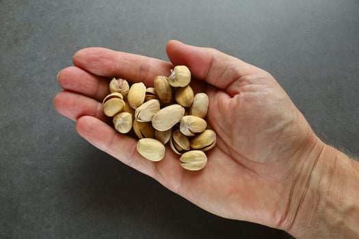 Pistachio nuts several in hand photo