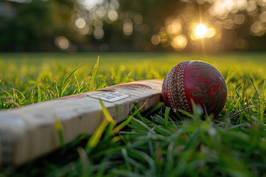 Close-up view of a worn cricket ball and bat lying on grass field photo