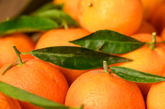 fresh juicy tangerines on a wooden table 1 photo