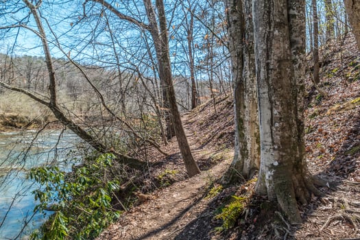 Rugged trail along the river photo