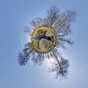 tiny planet transformation of spherical panorama 360 degrees. Spherical abstract aerial view with trees in forest with clumsy branches in blue sky. Curvature of space. photo