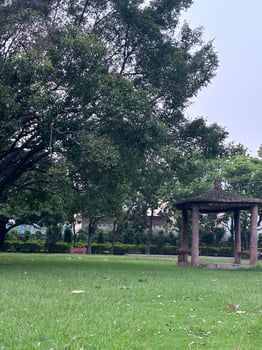 A Tranquil Park with a Gazebo photo