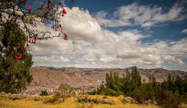 landscape with nearby forest and city in the background with mountains, cloudy sky in the background in cusco, peru photo