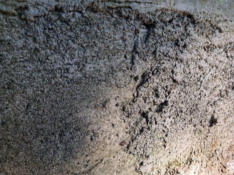 Rough background texture of building wall. Suitable for additional design projects. photo