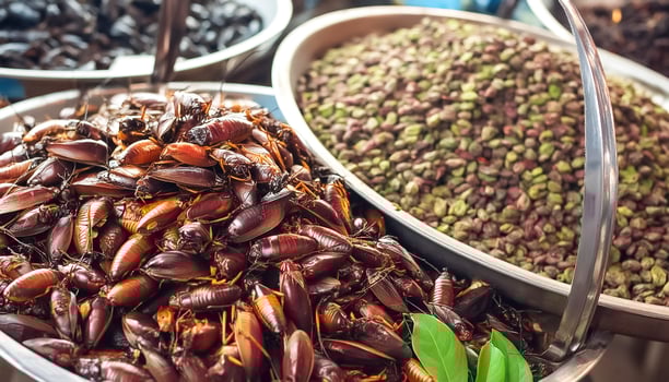 Strange food of Thai people- roasted insects. pattern texture background photo