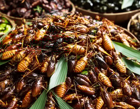 Strange food of Thai people- roasted insects. pattern texture background photo