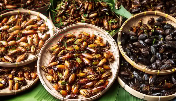 Strange food of Thai people- roasted insects. pattern texture background photo
