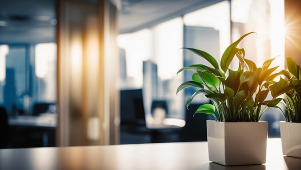 Blurred modern office with contemporary furniture and a plant on the table, featuring soft lighting and a clean design. Professional workspace concept photo