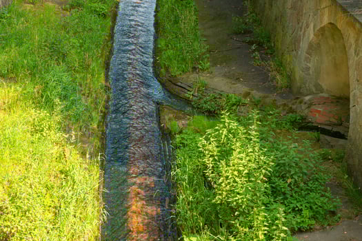 stream of water flows through a grassy area photo