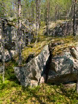 Discover the serene beauty of a sunlit hiking trail through the majestic forests of Karelia. Perfect for nature lovers and outdoor enthusiasts seeking tranquility and adventure photo