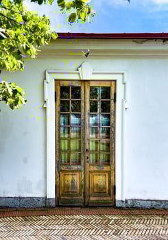 Close-up view of vintage wooden double doors with reflective glass panels set in a white wall. The door frame is surrounded by lush green leaves and bright sunlight, creating a charming and historical ambiance photo