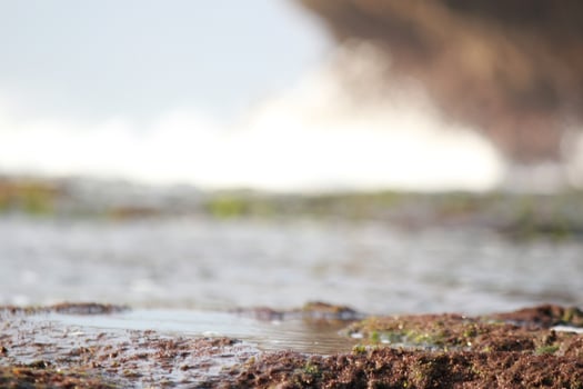 a wave blurred on the ground near a rock photo