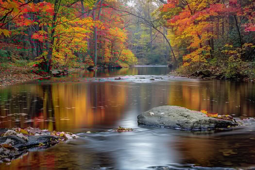 River Surrounded  Colorful Fall Foliage Background photo