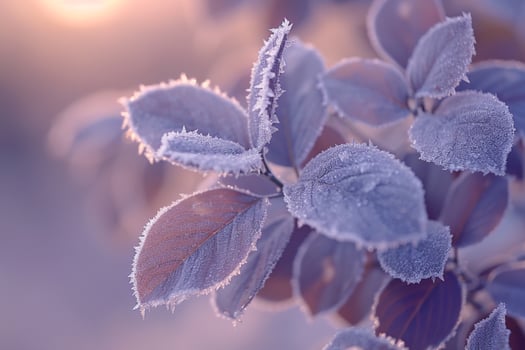 Frosty Leaves on Tree in Morning Background photo