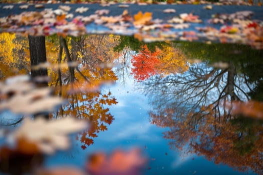 Autumn Reflections  Jason Kim Background photo