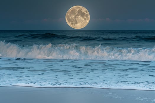 Full Moon Rising Over Ocean with Nature Background photo