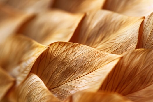 Leaf with Brown Leaves, Brown Leaves Background photo