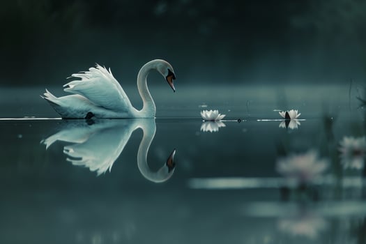 a swan is swimming in the water with flowers, background photo