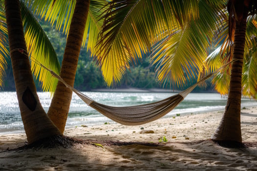 a hammock is hanging between two palm trees on a beach background photo
