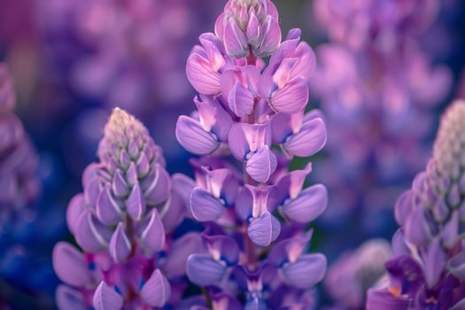 Purple Flowers in Field Background photo