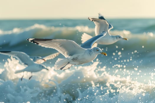 Seagulls Flying over Ocean Waves Background photo