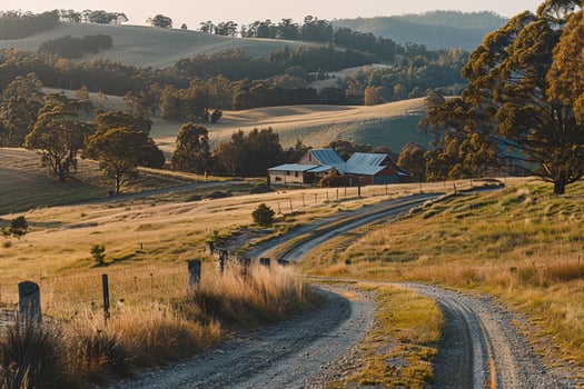 a dirt road runs through a grassy field background photo