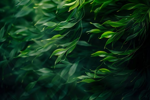 a of green leaves on a dark background background photo
