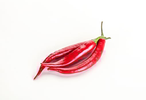 Hot and spicy chili pepper photo