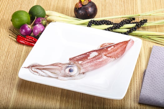 Raw fresh squid for cooking photo