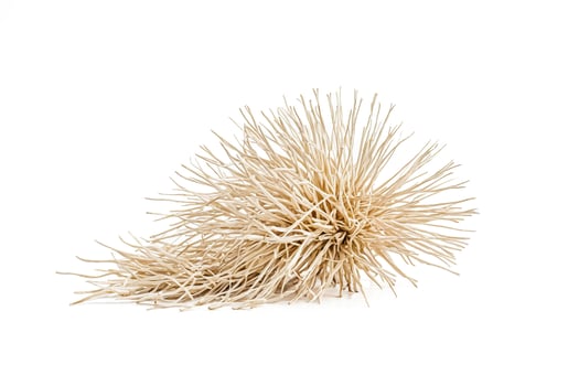 Closeup of a Dried Grass Ball on White Background photo