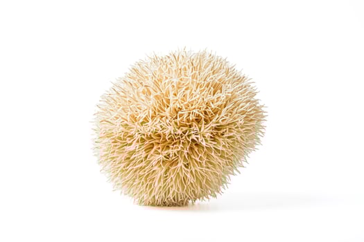 Abstract Round Flower photo