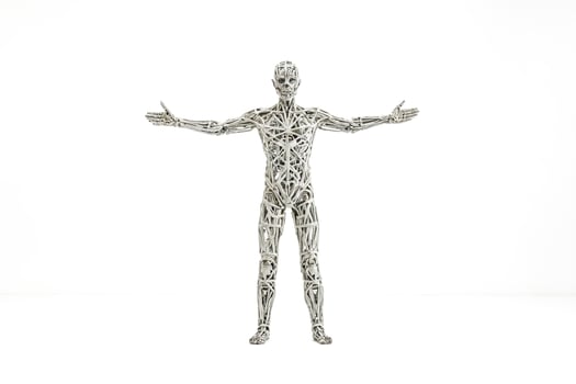 3D Render of a Wireframe Human Figure photo