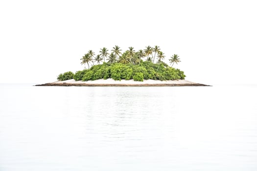 Tropical Island with Palm Trees and White Sand Beach photo