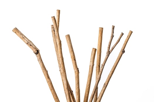 Close-up of Dried Branches Isolated on White Background photo
