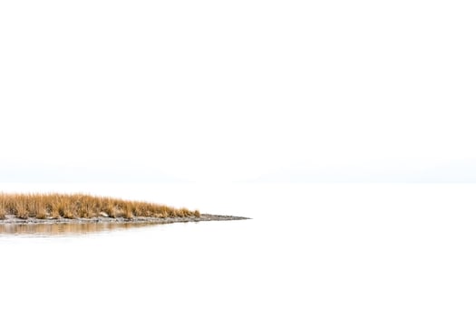 Minimalist Landscape with a Touch of Brown photo